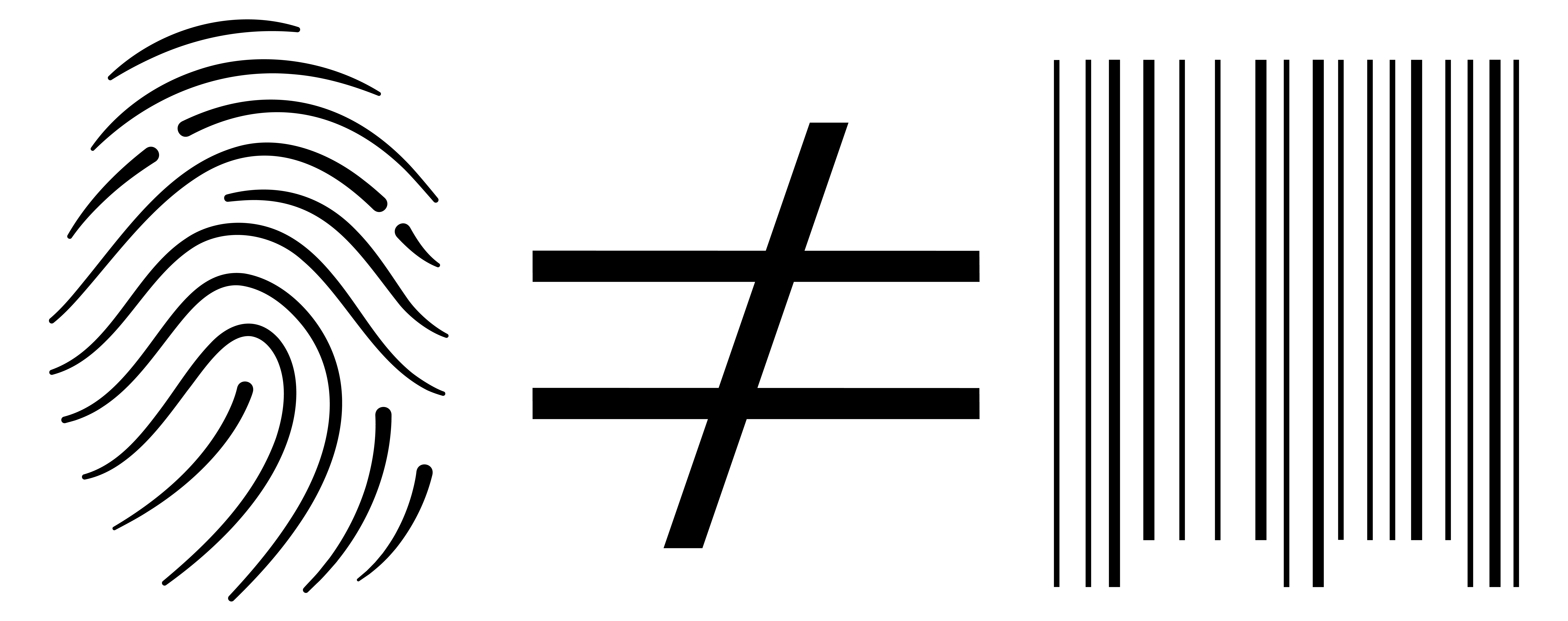 theorfoundation